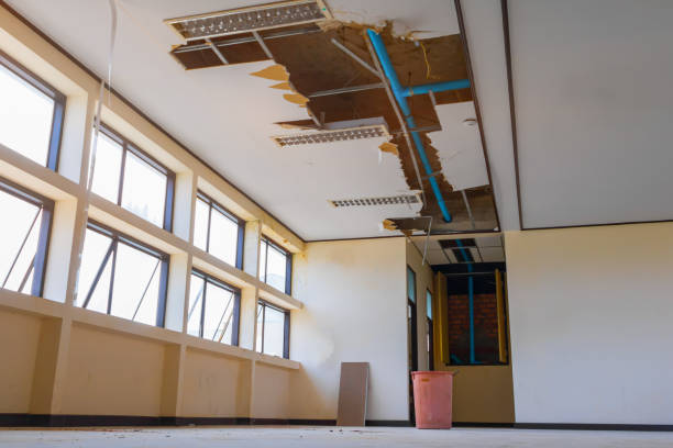 Best Professional water damage repair  in Girard, IL