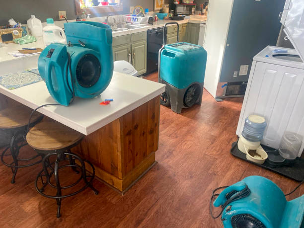 Best Local water damage restoration  in Girard, IL
