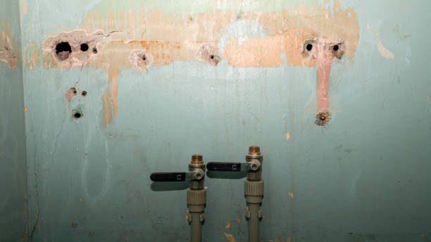 Best Water damage restoration near me  in Girard, IL