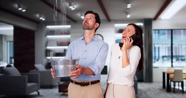 Best Ceiling water damage repair  in Girard, IL